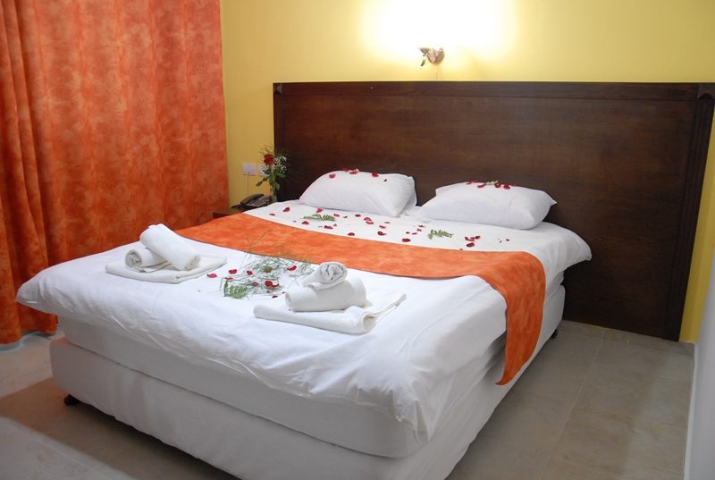 Single Room, photo 1